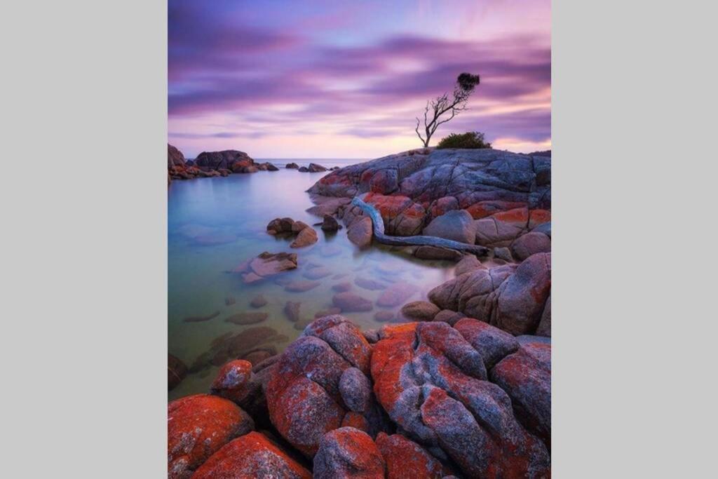 The Tin Shed Couples Accommodation At Bay Of Fires Binalong Bay Eksteriør bilde