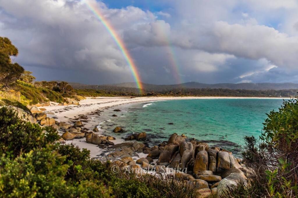 The Tin Shed Couples Accommodation At Bay Of Fires Binalong Bay Eksteriør bilde